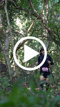 BIB:  <button type="button" onclick="openModal(28067978)" class="btn btn-primary btn-sm float-right" data-toggle="modal" data-target=".modal-high-quality">
                <i class="fa fa-download"></i> Download
                </button>